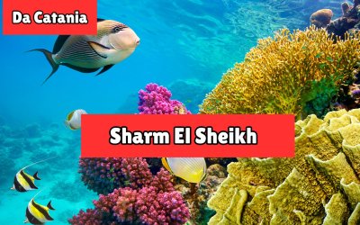 Sharm el Sheikh da Catania