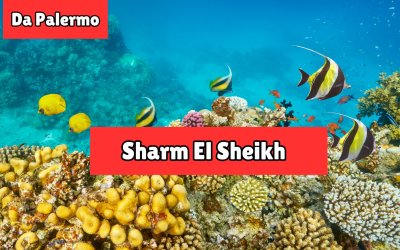 Sharm el Sheikh da Palermo